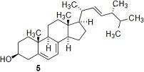 2081_Chemical synthesis2.jpg